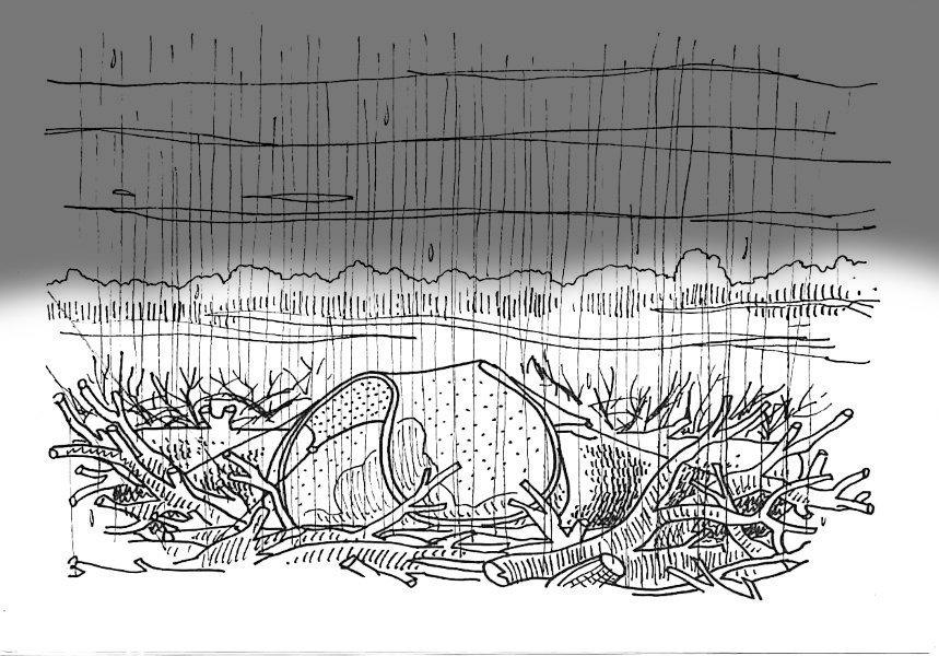 Under a thin rain… – Sotto una pioggia sottile…