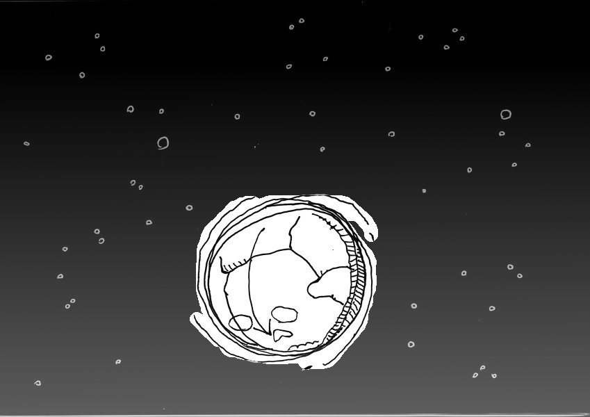 Maybe it’s a dwarf planet – Forse è un pianeta nano…