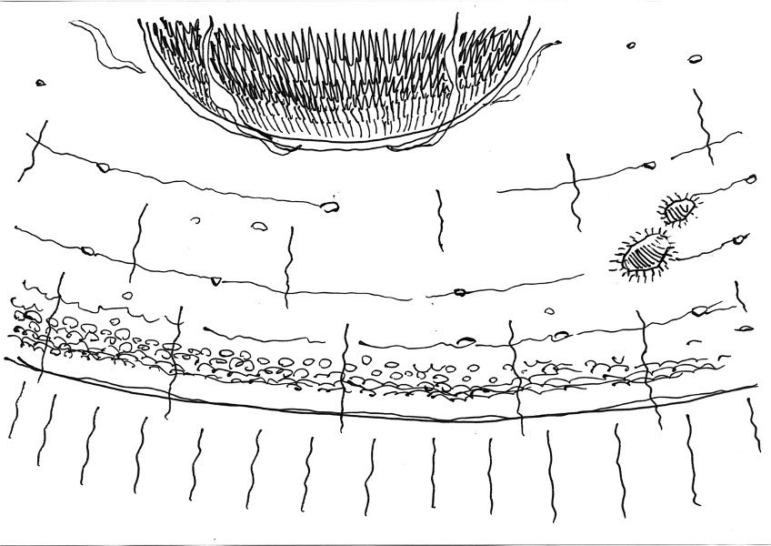 It used the solar mass as a slingshot – Ha usato la massa del sole come una fionda…