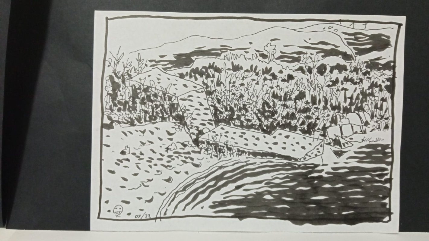 Close up of the previous subject