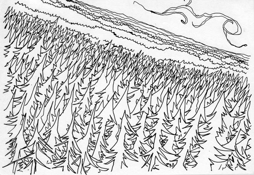 A Forest – La Foresta (soundtrack: A Forest – Seventeen Seconds – The Cure)